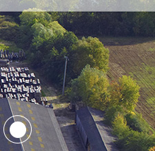 Sägewerk TARTERET, Experte für Eiche und andere Harthölzer in Frankreich.