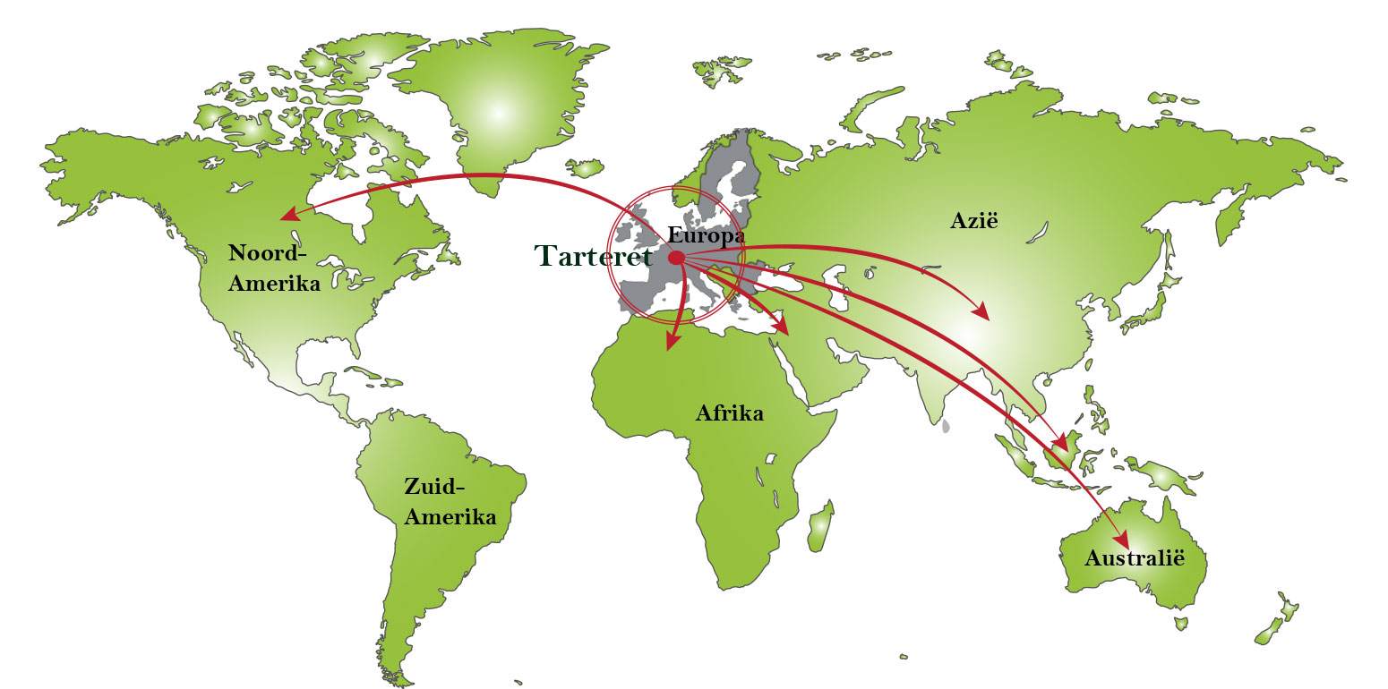 zagerij internationaal