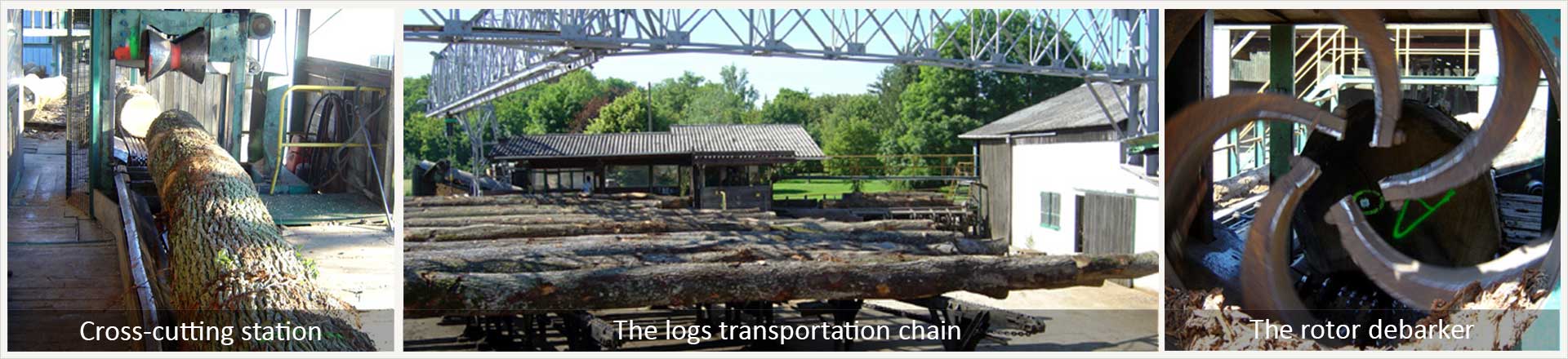 Logs lot