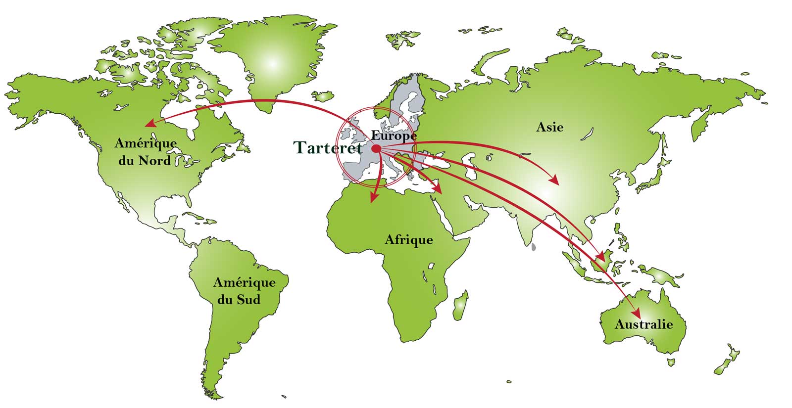 scierie export international